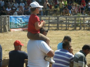 Tata, tata zašto bikovi imaju 5 nogu?